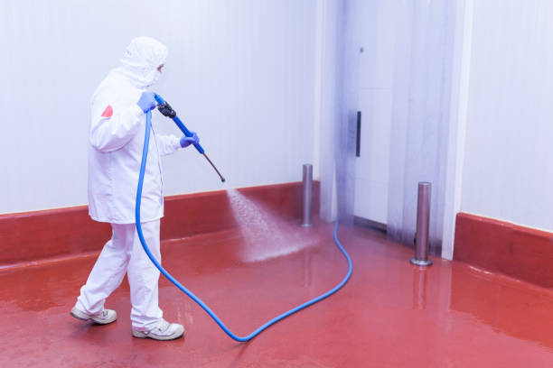 Best Soft Washing  in Concord, CA